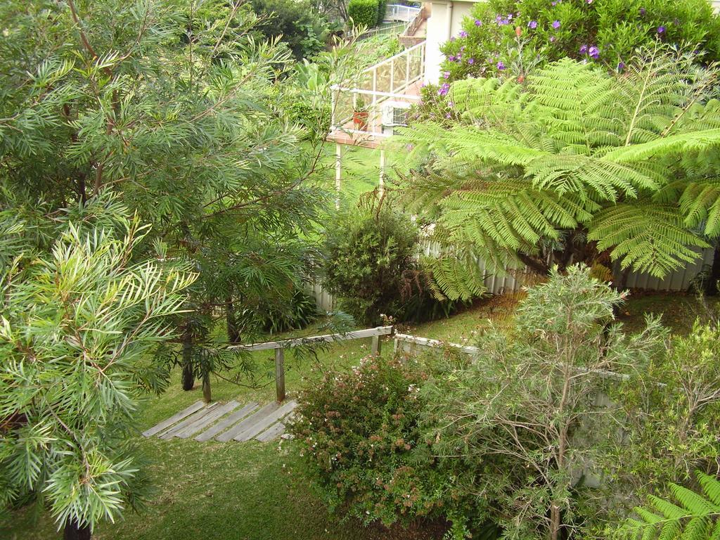 Strathmore Lodge Port Macquarie Exteriör bild